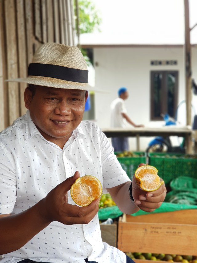 Wayan Supadno memperlihatkan jeruk chokun. Joko Hardyono/InfoPBUN