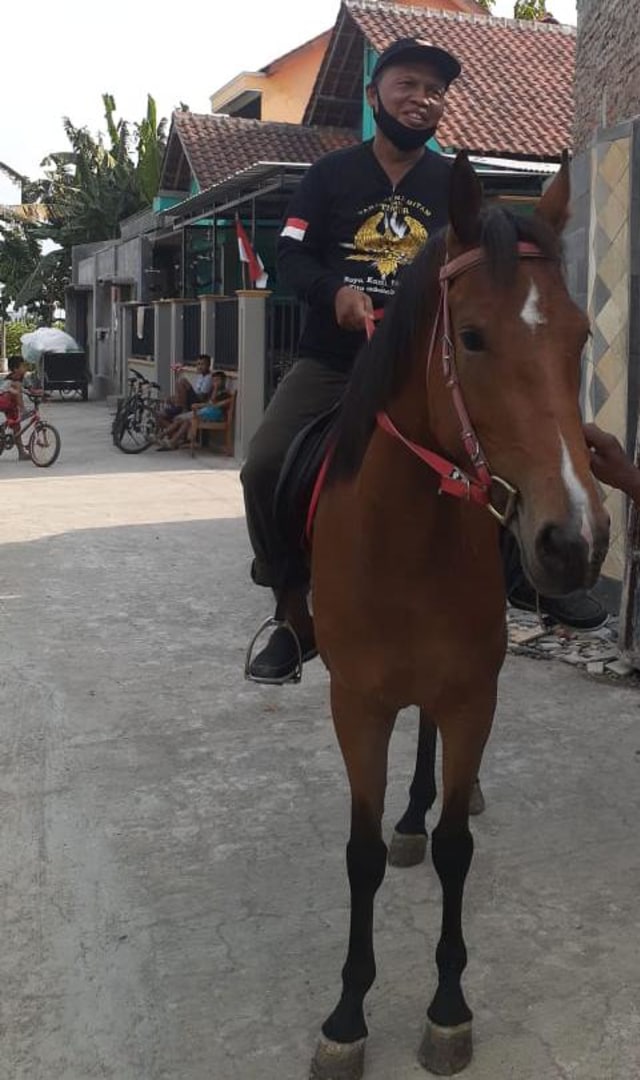 Paslon Bajo Latihan Naik Kuda Sebelum Daftar Pilwalkot Solo (959693)