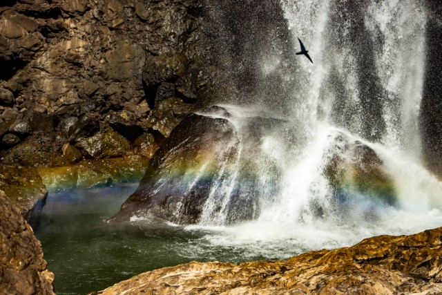 Foto: Melihat Indahnya Pelangi Abadi di Dasar Air Terjun Waesai (7508)