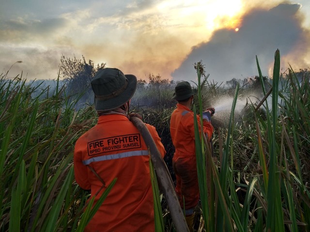Satgas karhutla saat memadamkan kebakaran lahan di Sumsel. (foto: dok. BPBD Sumsel)