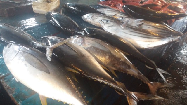 Harga Ikan ekor kuning yang melambung tinggi di Pasar Sanggeng Manokwari. (BumiPapua.com/Irsye Simbar) 