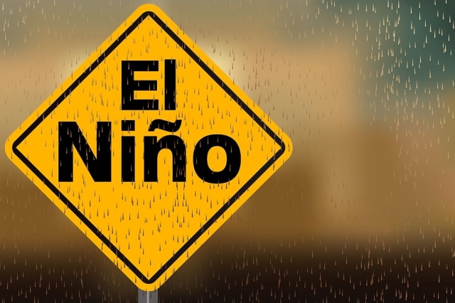 Ilustrasi El Nino. Foto: iStock