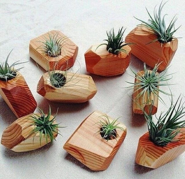 Pot tanaman dari Kayu Untukmu. Foto: dok. Instagram @kayuuntukmu