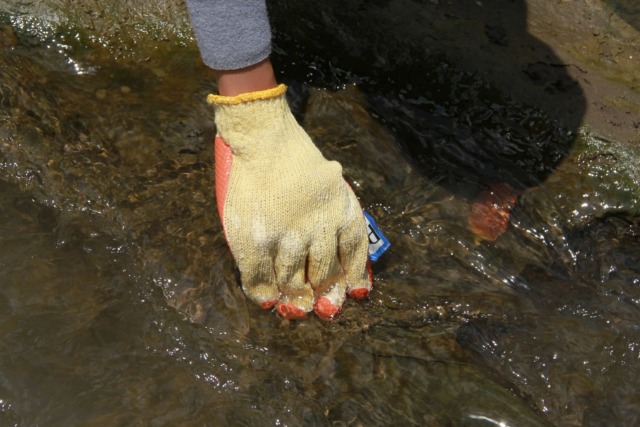 Foto: Pencemaran Mikroplastik, Sungai Brantas Kritis (291167)