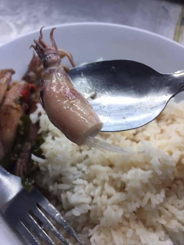 Sepekan kemarin unggahan cumi memakan plastik sempat viral di berbagai platform media sosial. Foto: Istimewa. 
