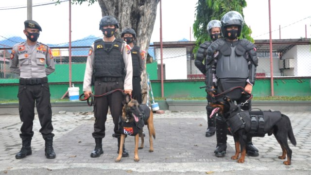 Personel Unit K-9 Ditsabhara Polda Sulteng saat mengikuti apel gelar pasukan Operasi Mantap Praja Tinombala 2020. Unit ini bersama anjing pelacak bernama Ifar (anjing warna cokelat) dan Pablo (warna hitam). Foto: M Rifki