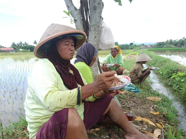 Para petani di Sidoagung, Gamping, Sleman, sedang istirahat siang. Petani mengeluhkan penurunan kuota pupuk subsidi hingga 40 persen.  Foto: Widi Erha Pradana