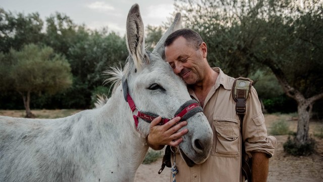 Luis Manuel Bejarano, presiden asosiasi 'El burrito Feliz' (Keledai Bahagia) di Andalusia, memeluk seekor keledai di "Bosque Encantado" (Hutan Ajaib) di Hinojos, selatan Spanyol. Foto: CRISTINA QUICLER/AFP