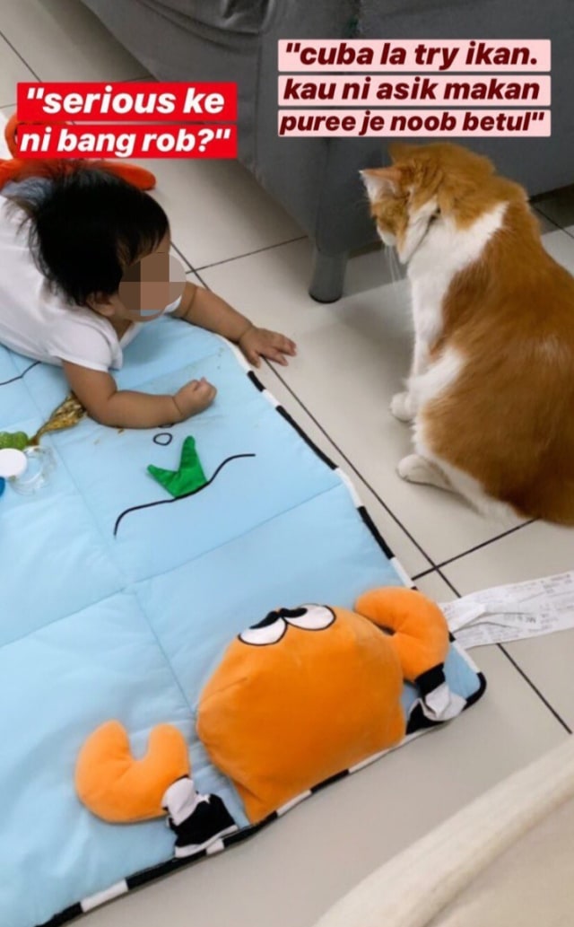 Viral kisah menggemaskan kucing oren bernama Robert beri ikan goreng kepada seorang bayi. (Foto: Twitter/@pelisahh)