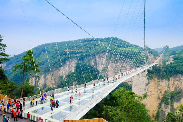 Zhangjiajie Glass Bridge di China Foto: Shutter Stock