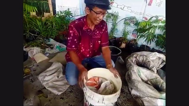 Tak Perlu Pusing Cari Pupuk Kalau Petani Paham Bahan Penyusun Pupuk NPK (18518)