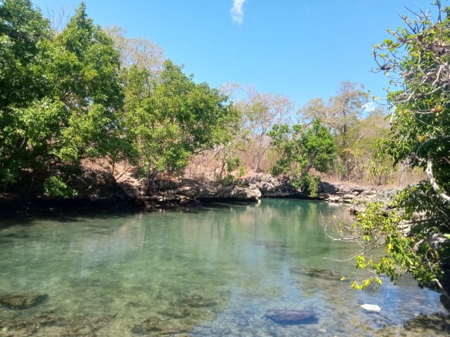 Kolam Ui' Simu, Spot Wisata Penyu di Pulau Semau, NTT (306941)