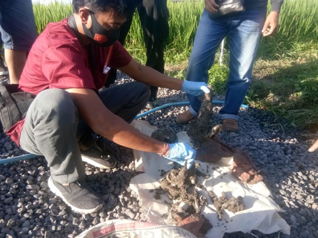 Tulang belulang yang ditemukan di Desa Sading, Badung, Bali - IST