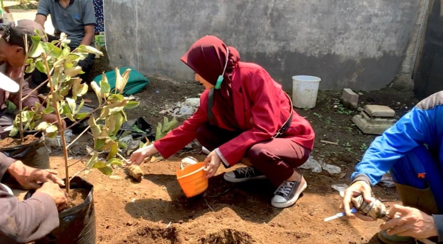 Mahasiswa PMM UMM 37 Ikut serta warga Baran Temburan dalam pembibitan jambu (7232)