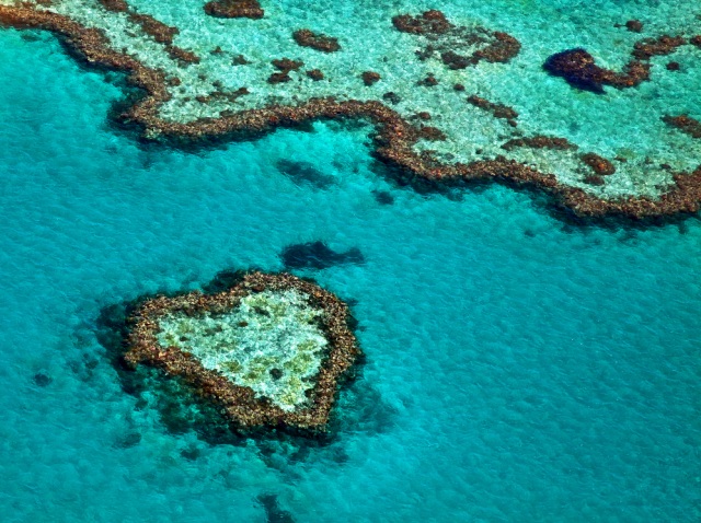 Heart Reef, Karang raksasa berbentuk hati di Australia Foto: Shutter stock