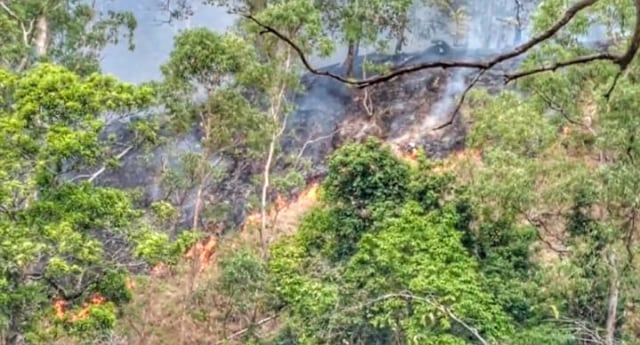 Kebakaran yang terjadi di kawasan hutan lindung Egon Ilinmedo, Selasa (15/9/2020) pagi. Foto: Mario WP Sina. 