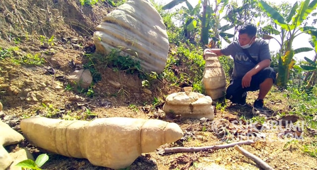 Warga Kampung Padaraang, Desa Sirnaresmi, Kecamatan Gunungguruh, Kabupaten Sukabumi temukan batu bergaris yang disebut batu bersejarah. | Sumber Foto: Sukabumiupdate.com/CRP8
