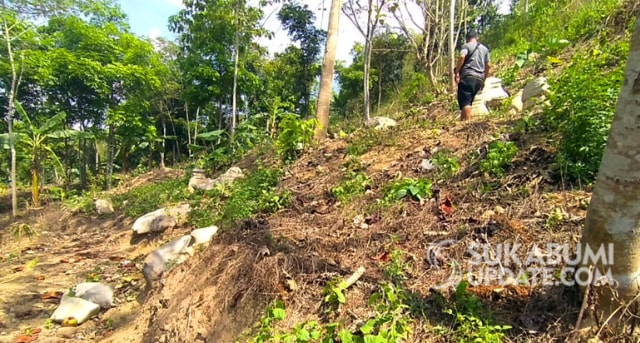 Viral Batu Berpola Garis Beragam Bentuk di Gununguruh Sukabumi (23720)