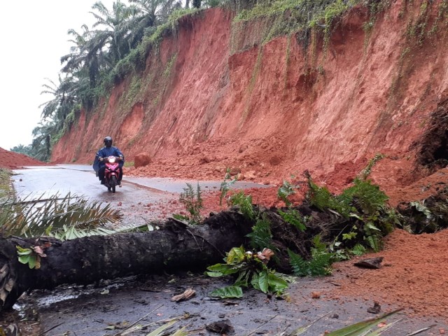 Jalur Lintas Timur, Kabupaten Bintan ditutupi tanah longsor dan pohon kelapa sawit yang tumbang. Foto: Ismail/kepripedia.com