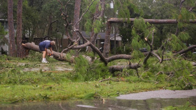 Foto: Pohon-pohon yang Tumbang Akibat Badai Sally di Amerika Serikat (300874)