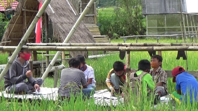 Foto: Belajar di Tengah Sawah Ala Siswa SD di Mamasa, Sulbar (306048)