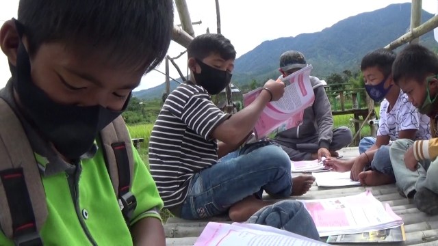 Foto: Belajar di Tengah Sawah Ala Siswa SD di Mamasa, Sulbar (306050)
