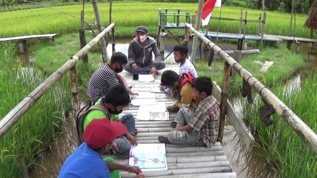 Foto: Belajar di Tengah Sawah Ala Siswa SD di Mamasa, Sulbar (306052)
