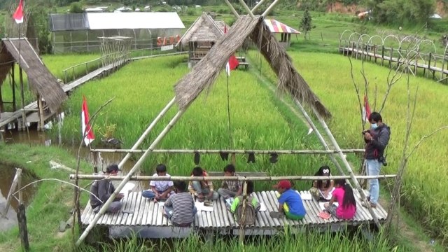 Foto: Belajar di Tengah Sawah Ala Siswa SD di Mamasa, Sulbar (306053)