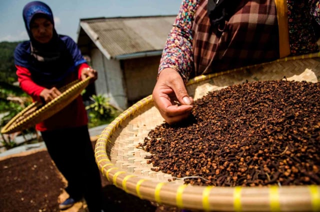 Jalur Rempah Indonesia Diusulkan Jadi Warisan Dunia UNESCO (28373)