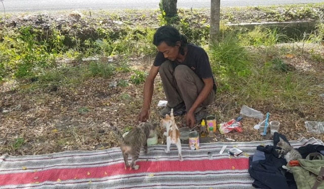 Sugiyanto, seorang pengepul barang bekas di Jogja yang bermimpi membangun shelter untuk kucing, saat bermain dengan kucing peliharaannya. Foto: Sandra/Tugu Jogja.