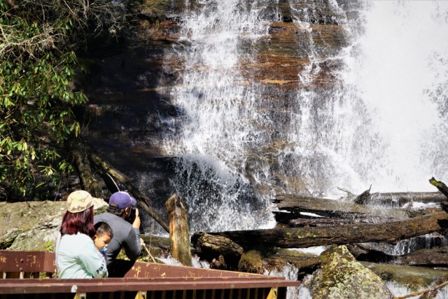Ilustrasi wisatawan yang sedang melihat air terjun Foto: Shutter Stock