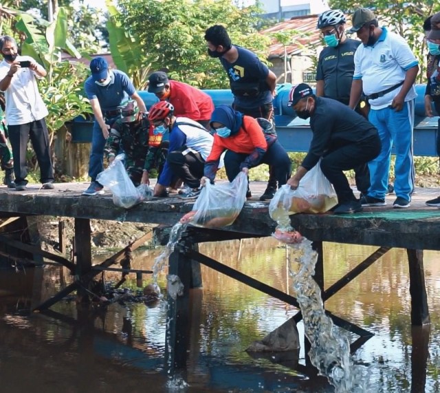 Penebaran benih indukan ikan nila di parit Sungai Jawi, Pontianak. Foto: Dok Istimewa
