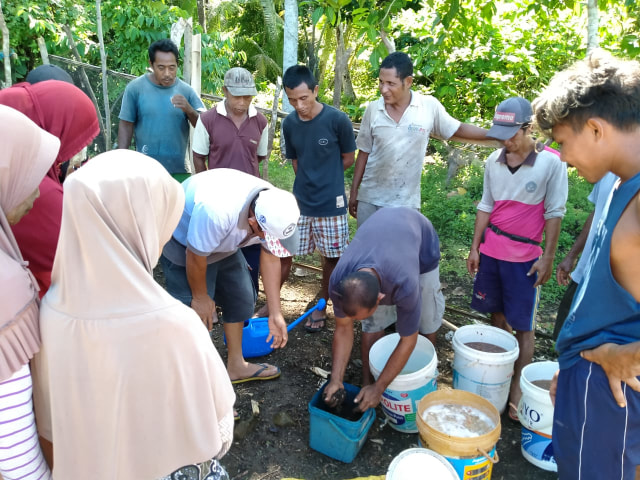 Pakativa Buat Penguatan Usaha Petani Kelapa dan Hortikultura di Maluku Utara (6344)