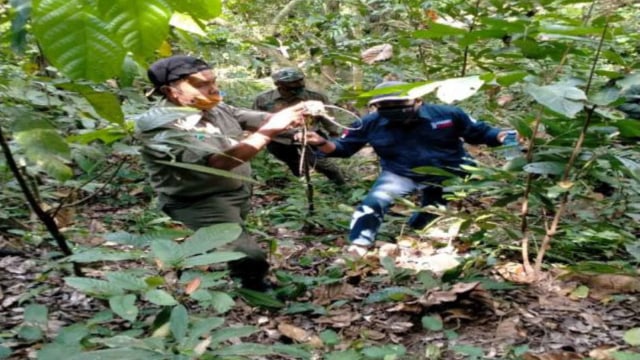 KLHK mengamankan14.600 hektar kawasan hutan
Taman Nasional Meru Betiri dari perambah dan penebang ilegal. Foto: Dok. KLHK