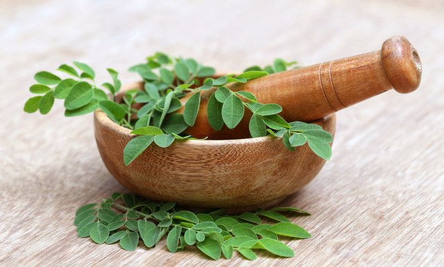 Ilustrasi tumbuhan herbal. Foto: Shutterstock
