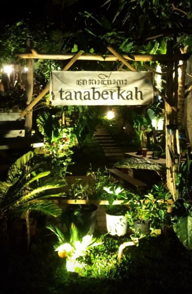 Coffee shop Tanaberkah. Foto: TikTok @stvn666