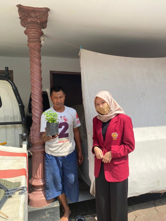 Go Green, Mahasiswa UMM Bagikan Bibit Tanaman Herbal (307300)