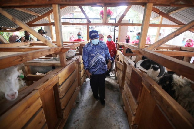 Lahan Terbatas, Pemkot Bandung Kembangkan Integrated Farming (215558)