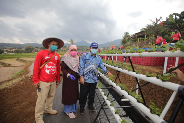 Lahan Terbatas, Pemkot Bandung Kembangkan Integrated Farming (215559)