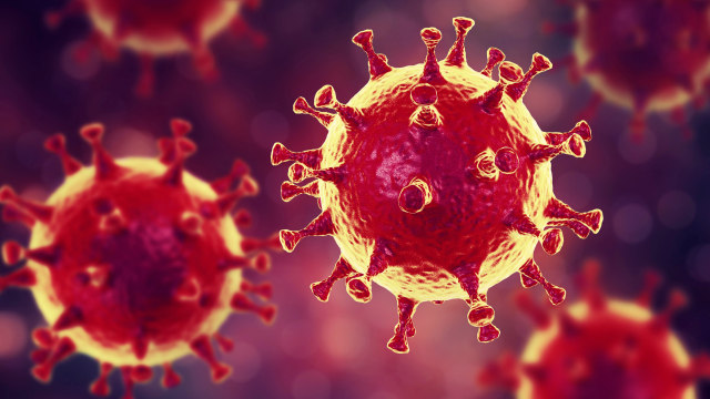 Ilustrasi virus corona. Foto: Shutterstock