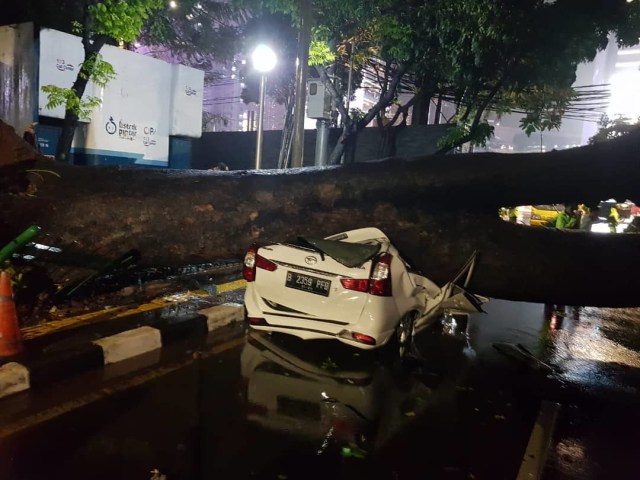 Pohon menimpa mobil Daihatsu Xenia di Jalan Sumenep Menteng. Foto: Instagram/@TMCPoldaMetro