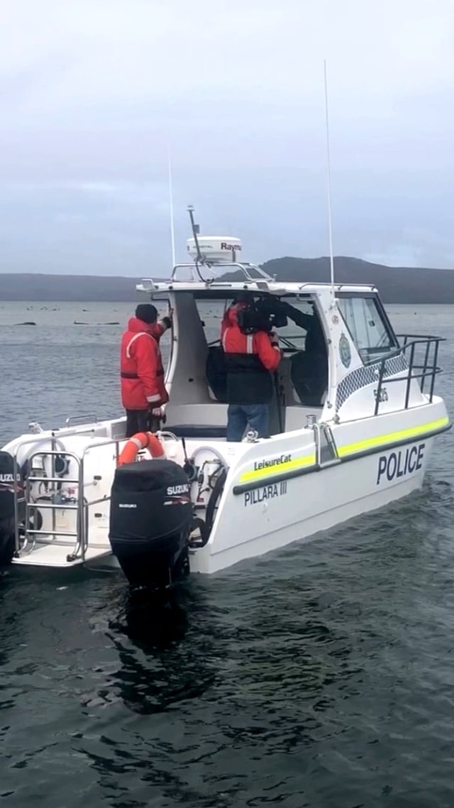 Kapal polisi di lokasi paus terdampar di perairan Macquarie Heads, Tasmania, Australia, Selasa (22/9). Foto: TASMANIA POLICE/via REUTERS