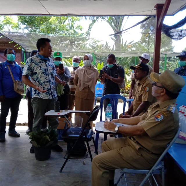 Gandeng GEG, Dinas Perkebunan Fakfak Gelar Pelatihan Grafting Tanaman Pala (45085)