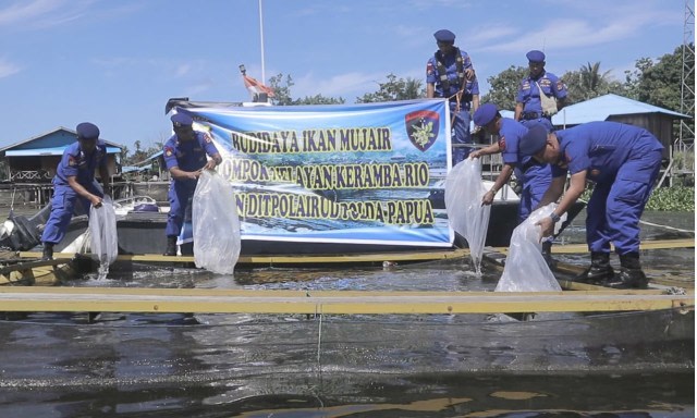 Ketika Ikan Gurami, Wader, dan Nila jadi Pemusnah Ikan Asli Danau Sentani, Papua (514348)