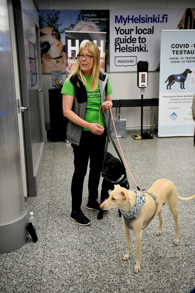 Pelatih Susanna Paavilainen terlihat bersama Kossi dan Miina, anjing pelacak sedang dilatih untuk mendeteksi virus corona dari sampel penumpang yang tiba, di Bandara Helsinki, Finlandia. Foto: Lehtikuva/Reuters
