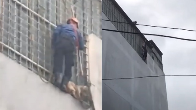 Petugas damkar berusaha menyelamatkan anjing. (Foto: Viral Press/YouTube)