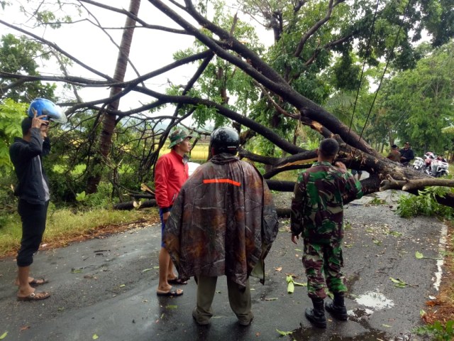 Sejumlah pohon berukuran besar tumbang di beberapa titik Kabupaten Kuningan hingga menyebabkan kerusakan rumah dan tiang listrik roboh. (ciremaitoday)
