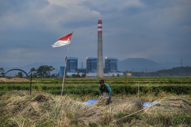 Petani memanen padi miliknya dengan latar belakang pembangkit listrik di Ciletuh, Pelabuhan Ratu, Sukabumi, Jawa Barat. Foto: Muhammad Adimaja/Antara Foto