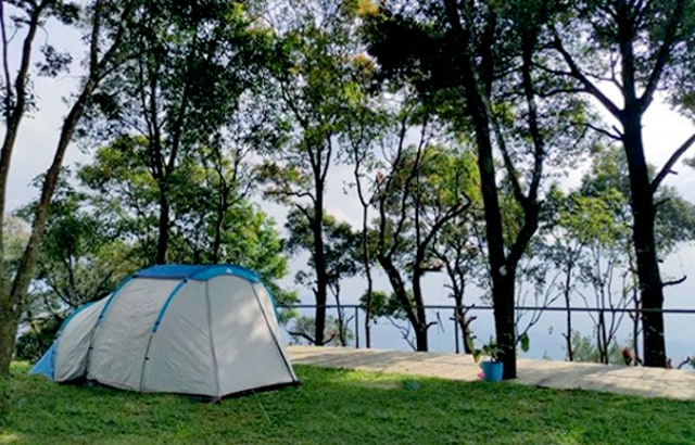 Camping Ground Teras Jingga yang asri (Foto: Dok. Teras Jingga)