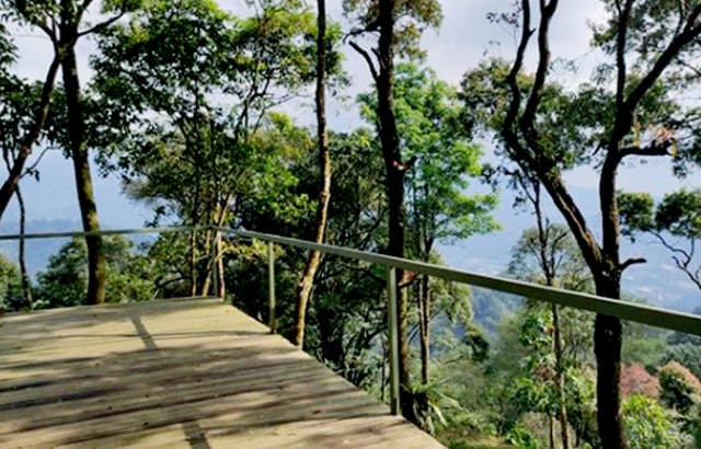Camping Keluarga Di Teras Jingga (320993)